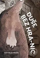 Duše bez hra-nic - Svatoslav Pěnčík - kniha z kategorie Poezie