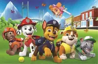 Tlapková patrola na trávníku - puzzle z kategorie 15 - 60 dílků