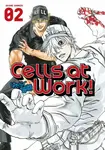Cells At Work! 2 - Akane Shimizu - kniha z kategorie Komiksy