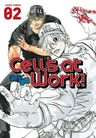Cells At Work! 2 - Akane Shimizu - kniha z kategorie Komiksy