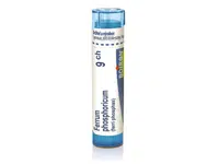 Ferrum phosphoricum 9CH granule 1x4g