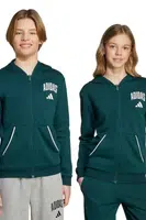 Dětská mikina adidas zelená barva, s kapucí, s potiskem, JW2389