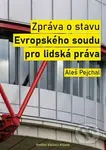 Zpráva o stavu Evropského soudu pro lidská práva - Aleš Pejchal - kniha z kategorie Politologie a politika
