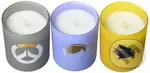 Overwatch: Glass Votive Candle (Pack: Set of 3)
