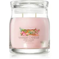 Yankee Candle Desert Blooms vonná svíčka 368 g