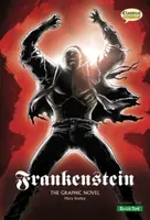 Frankenstein The Graphic Novel - Mary W. Shelley