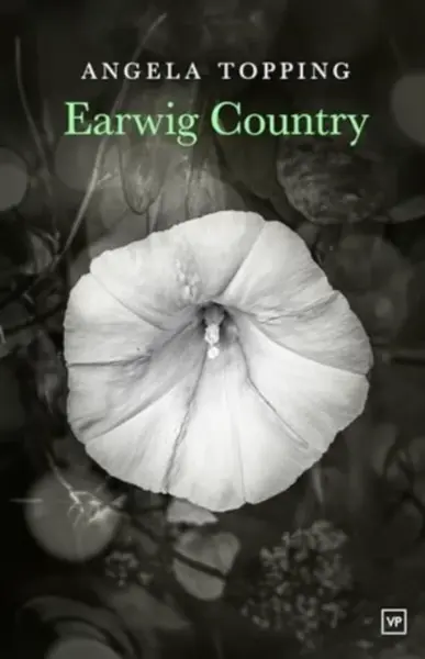 Earwig Country - Angela Topping