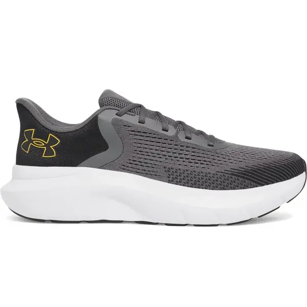 Men's shoes Under Armour Charged Rogue 5