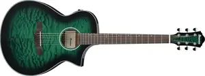 Ibanez AEWC16QA-TEH
