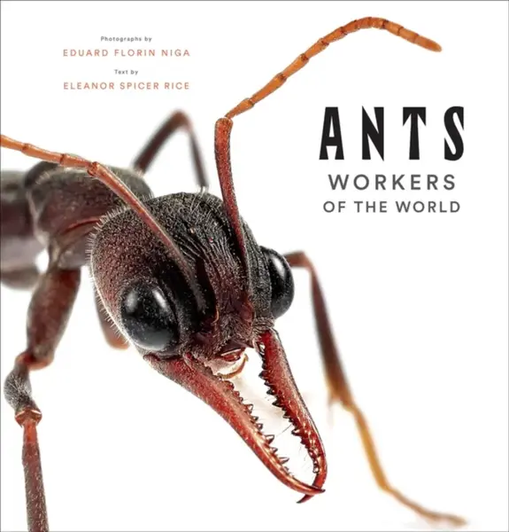 Ants: Workers of the World - Eleanor Spicer Rice
