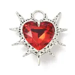 Alloy with Acrylic Pendants