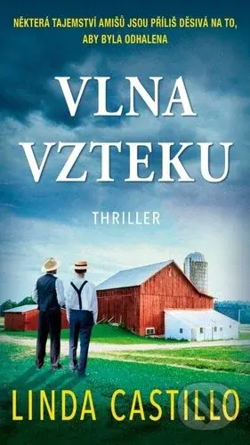 Vlna vzteku - Linda Castillo - kniha z kategorie Thrillery