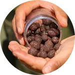 One more cast tvrzené obalené boilie cured hardened hookbaits paella 120 g 15 & 18 mm