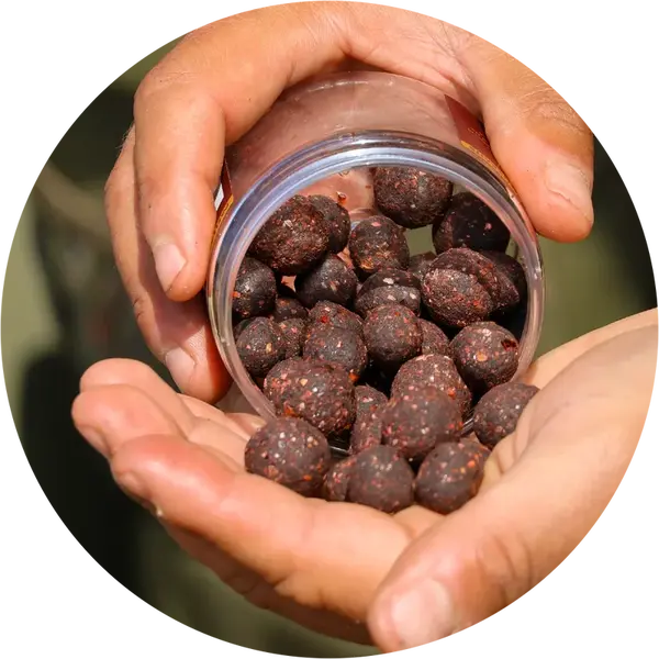 One more cast tvrzené obalené boilie cured hardened hookbaits paella 120 g 15 & 18 mm