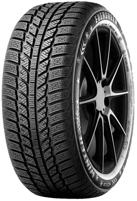 EVERGREEN 205/50 R 16 87H EW62 TL M+S 3PMSF EVERGREEN