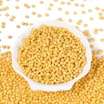 Baking Paint Pearlized Glass Seed Beads