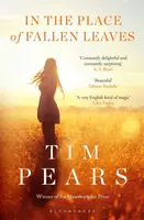 In the Place of Fallen Leaves - Tim Pears
