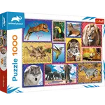 Trefl Puzzle Animal Planet: Divoká příroda/1000 dílků