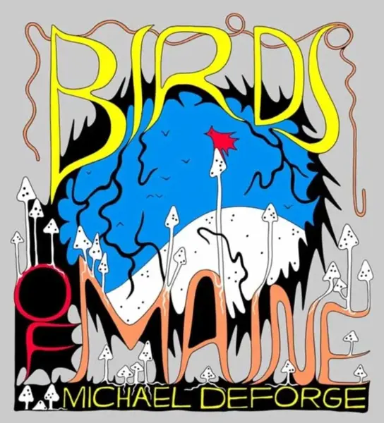 Birds of Maine - Michael DeForge