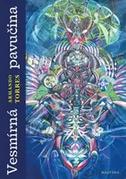 Vesmírná pavučina