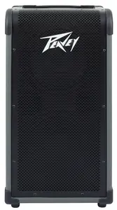 Peavey Max 208