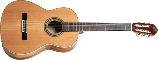 Ortega R20GSNRG