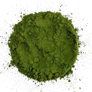 Chlorella prášok 500g