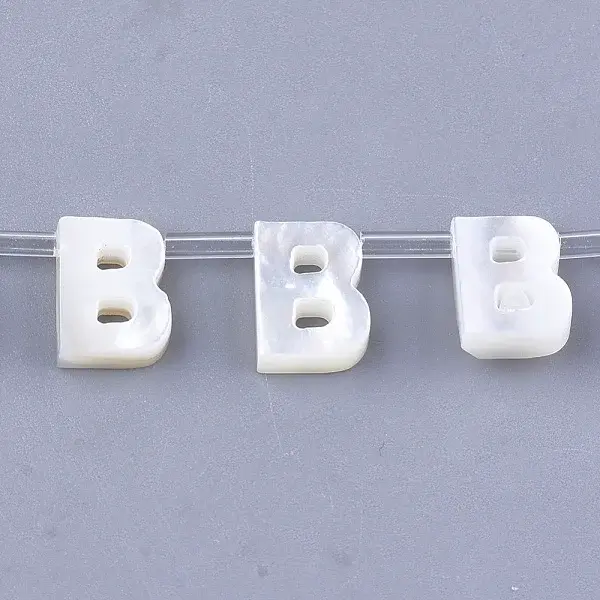 Natural Sea Shell Beads