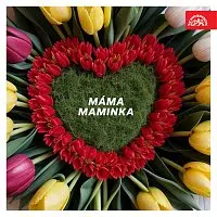 Různí interpreti – Máma, maminka