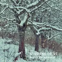 Bratři Karamazovi – Studený dříví CD