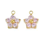 304 Stainless Steel Micro Pave Cubic Zirconia Charms