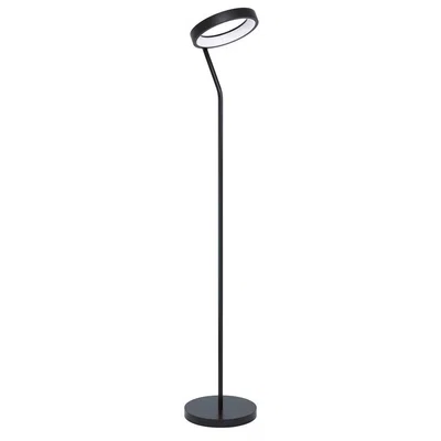 Eglo STOJACÍ LAMPA, 27/30,5/169 cm