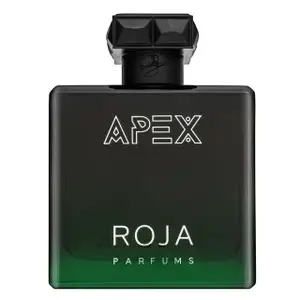 Roja Parfums Apex parfémovaná voda pro muže 100 ml