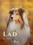 Lad: A Dog - Albert Payson Terhune - e-kniha