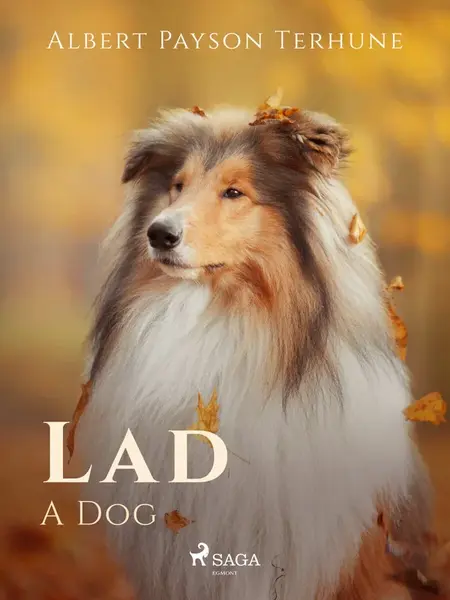 Lad: A Dog - Albert Payson Terhune