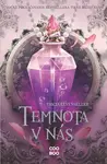 Temnota v nás - Tricia Levensellerová