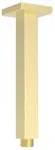 Sapho Sprchy - Sprchové rameno stropné, 20 cm, matná zlatá 1205-07GB
