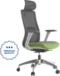 MERCURY Ergonomická kancelárska stolička WISDOM, sivý plast, zelená