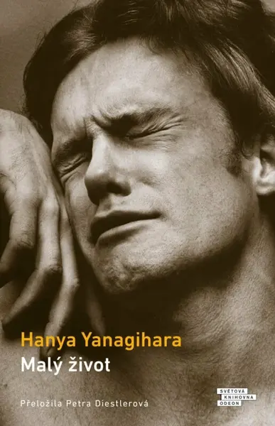 Malý život (poškozené) - Hanya Yanagihara
