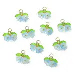 Glass Pendants