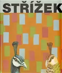 Střížek - Martin Dostál