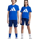 Dětská souprava adidas modrá barva, JV9921