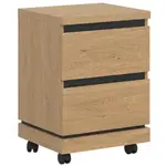 Kontejner Ate At09 dub kamenný/černá