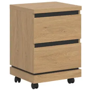 Kontejner Ate At09 dub kamenný/černá