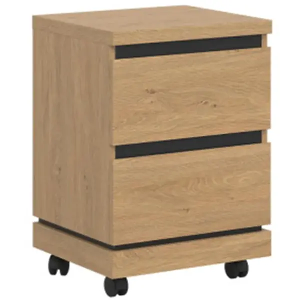 Kontejner Ate At09 dub kamenný/černá