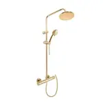Sprchový systém RAV SLEZÁK lesklá zlatá TRM82.5/7-61Z