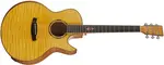 Tanglewood TWX6CE SMF