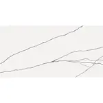 Nástěnný obklad Alesia 30/60 REKT.