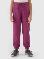 Dívčí tepláky 4F