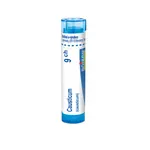 Boiron CAUSTICUM CH9 granule 4 g